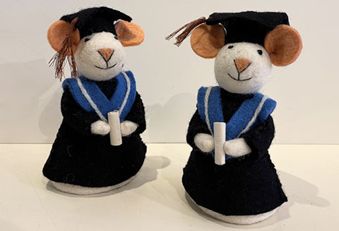 Cadeautip voor de geslaagde!